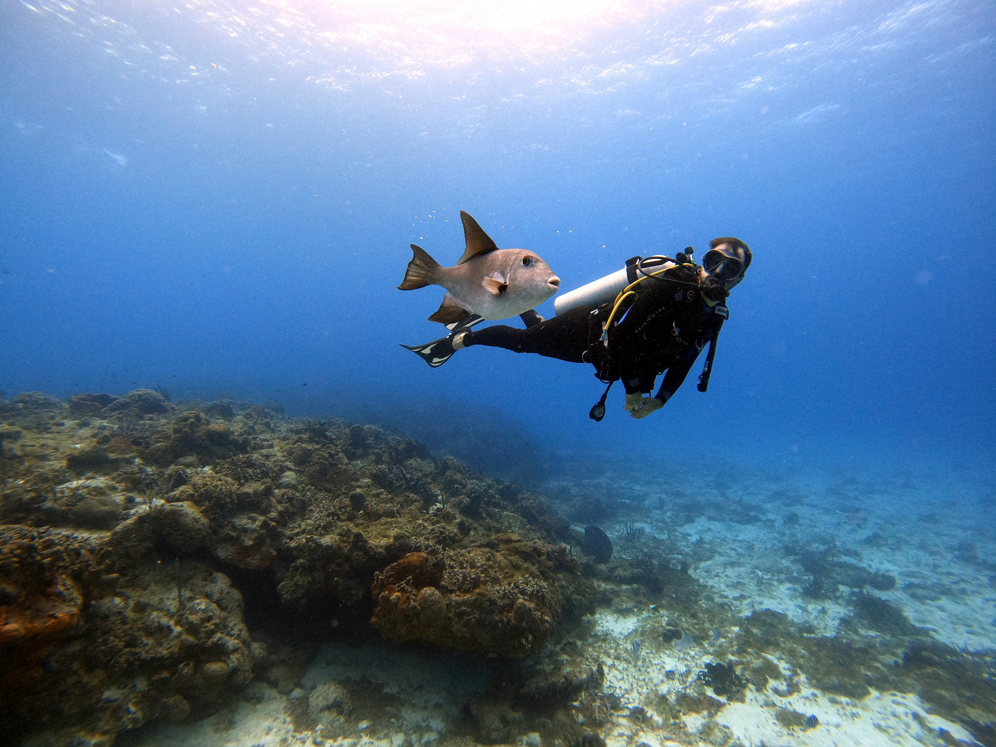 Cozumel - Viagem