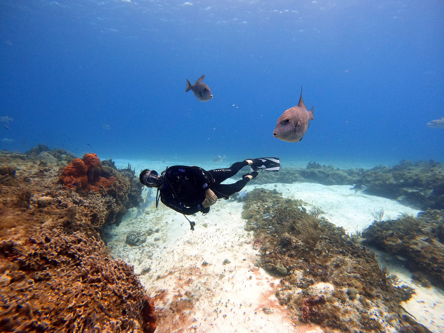 Cozumel - Viagem