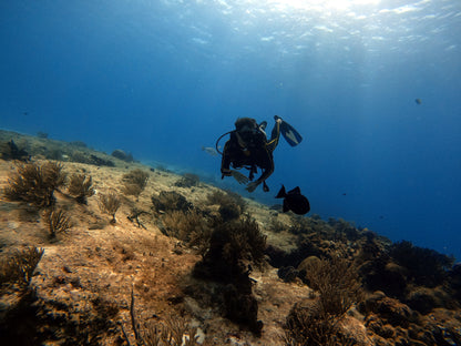 Cozumel - Viagem