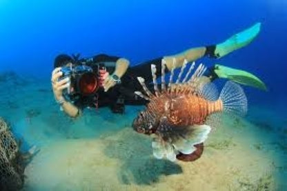 Underwater Photography Course 