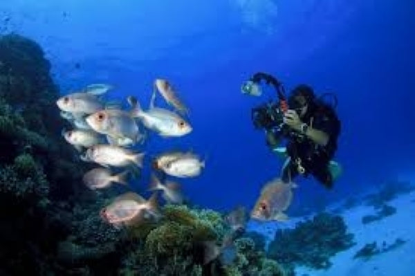 Underwater Photography Course 