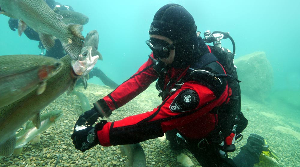 Dry Suit Diver Course