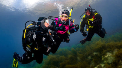 Dry Suit Diver Course