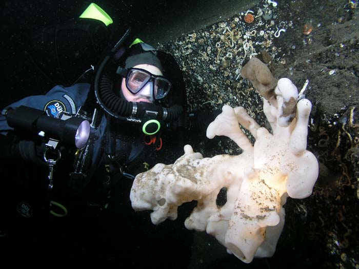 Curso de Rebreather de Circuito Semi-Fechado SNSI